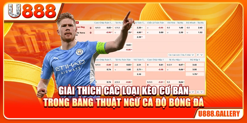 Giải thích các loại kèo cơ bản trong bảng thuật ngữ cá độ bóng đá