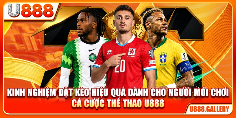Kinh nghiệm đặt kèo hiệu quả dành cho người mới chơi cá cược thể thao U888
