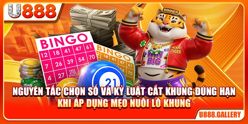 Nguyên tắc chọn số và kỷ luật cắt khung đúng hạn khi áp dụng mẹo nuôi lô khung