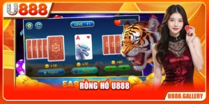 Rồng Hổ U888 - 6 Tips Để Không Đốt Vốn Quá Nhanh