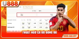 Thuật Ngữ Cá Độ Bóng Đá - Từ Điển Đầy Đủ Cho Người Mới