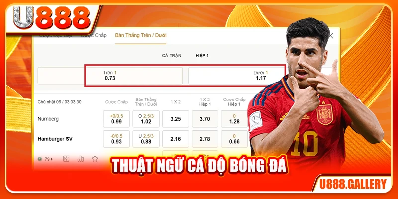 Thuật Ngữ Cá Độ Bóng Đá - Từ Điển Đầy Đủ Cho Người Mới