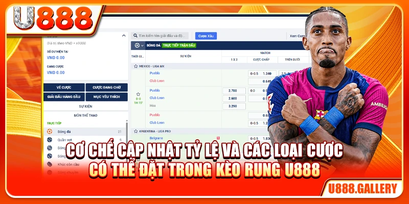 Cơ chế cập nhật tỷ lệ và các loại cược có thể đặt trong kèo rung U888