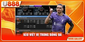 Kèo Việt Vị Trong Bóng Đá - 4 Yếu Tố Tác Động Đến Tỷ Lệ Kèo