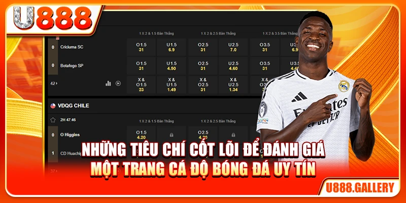 Những tiêu chí cốt lõi để đánh giá một trang cá độ bóng đá uy tín