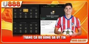 Trang Cá Độ Bóng Đá Uy Tín - U888 Có Đáp Ứng Tiêu Chí Không?